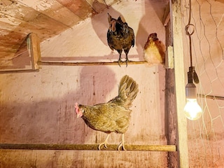 Holiday house Gräddö  13