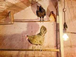 Holiday house Gräddö  17