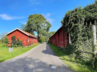 Ferienhaus Gräddö Außenaufnahme 6