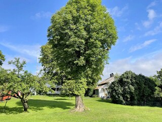 Casa per le vacanze Gräddö Registrazione all'aperto 6