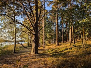 Vakantiehuis Ingarö  24