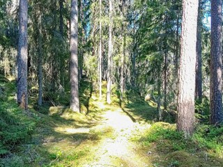 Vakantiehuis Rimforsa  16