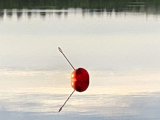 Ferienhaus Welt Außenaufnahme 4