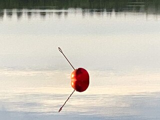 Holiday house Welt Outdoor Recording 9