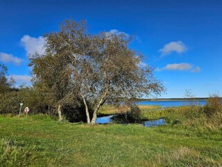 Vakantiehuis Thisted  32