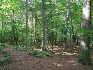 Holiday house Thisted  34