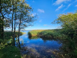 Maison de vacances Thisted  37