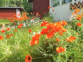 Holiday house Nässjö Outdoor Recording 3