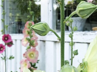 Casa per le vacanze Nässjö Registrazione all'aperto 10