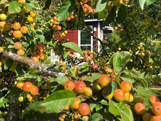 Casa per le vacanze Nässjö Registrazione all'aperto 6