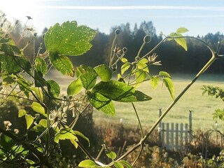 Casa per le vacanze Nässjö  18