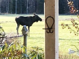 Casa per le vacanze Nässjö  25