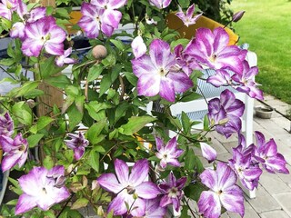 Casa per le vacanze Nässjö  26