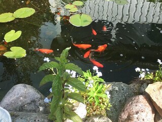 Ferienhaus Nässjö  29