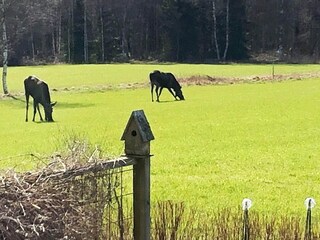 Casa per le vacanze Nässjö  21