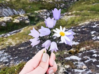 Vakantiehuis Mittel-Norwegen  31