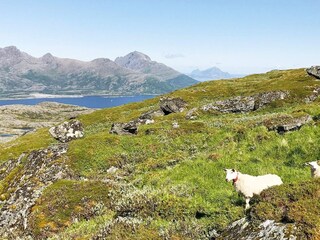 Ferienhaus Mittel-Norwegen  35