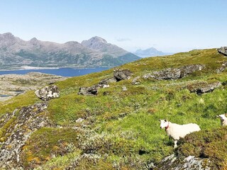 Holiday house Mittel-Norwegen  36
