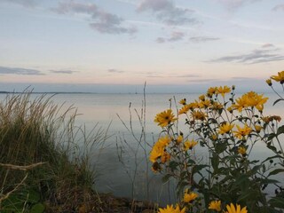 Appartamento Heeg Ambiente 31