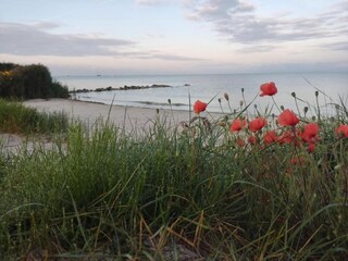 Apartment Heeg Umgebung 33