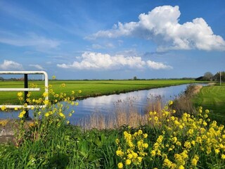 Apartment Heeg Environment 29