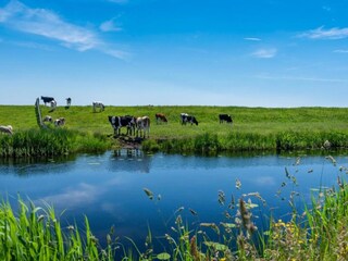 Appartamento Heeg Ambiente 34