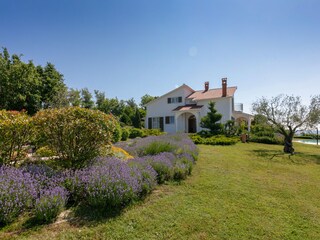 Villa Pazin Registrazione all'aperto 9