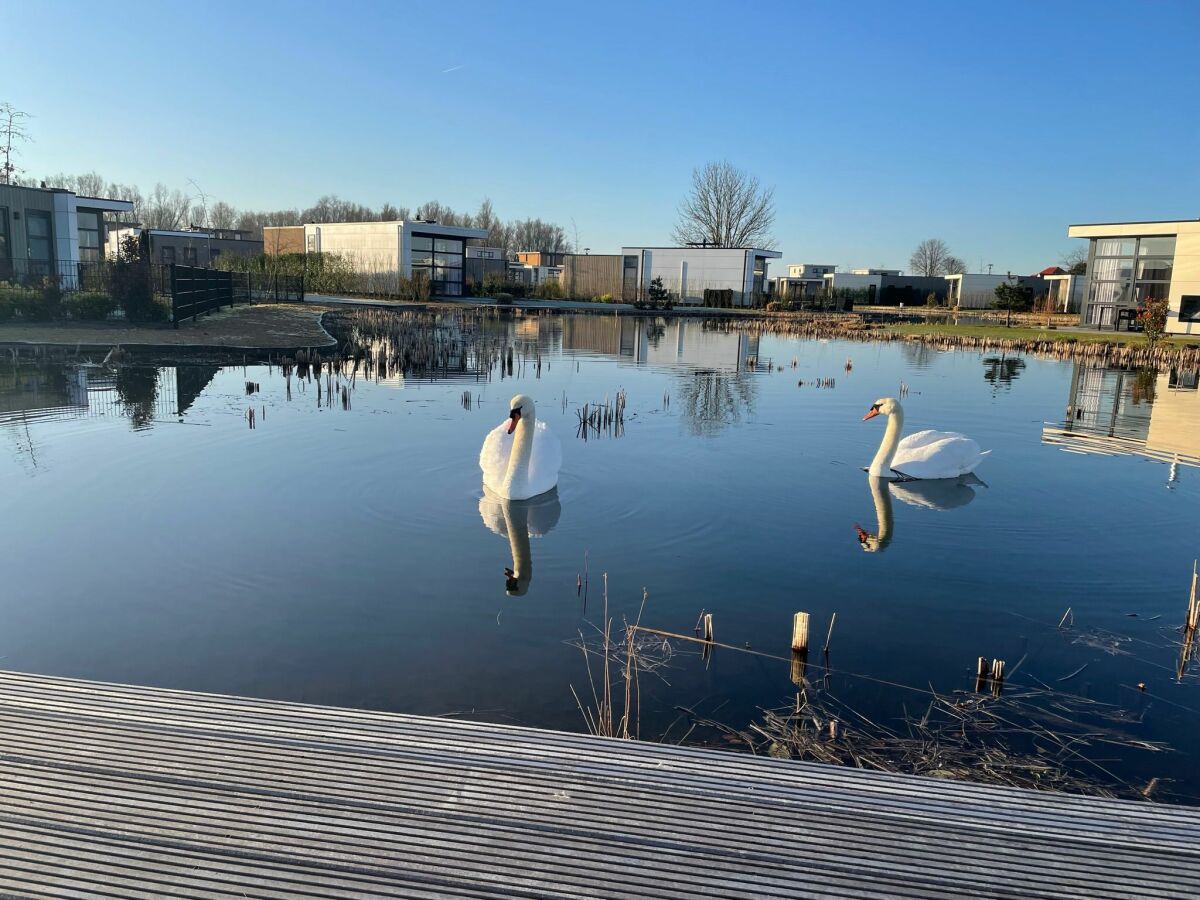 Traumhafter Ausblick aus dem Garten auf den See