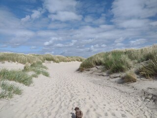 Casa per le vacanze Langeoog Ambiente 13