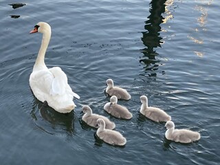 Casa per le vacanze Kosel Ambiente 27