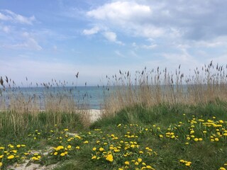 Maison de vacances Kosel  23