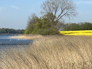 Maison de vacances Kosel  24