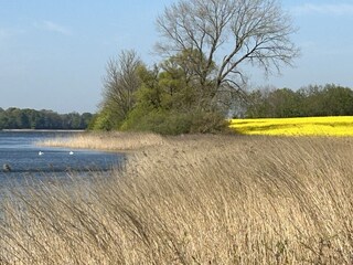 Vakantiehuis Kosel  24