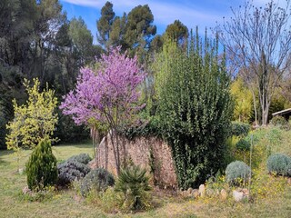 Casa de vacaciones Puisserguier Grabación al aire libre 7