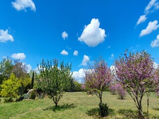 Casa de vacaciones Puisserguier Grabación al aire libre 11