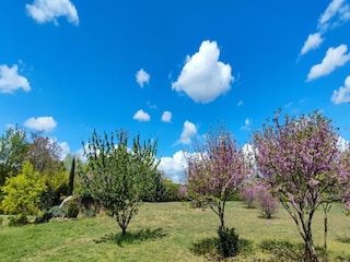 Ferienhaus Puisserguier Außenaufnahme 10