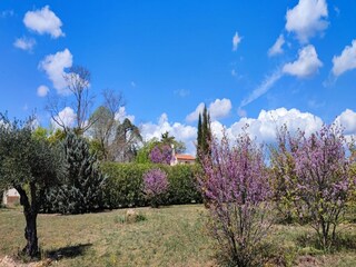 Maison de vacances Puisserguier Enregistrement extérieur 10