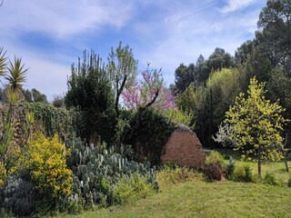 Maison de vacances Puisserguier Enregistrement extérieur 5