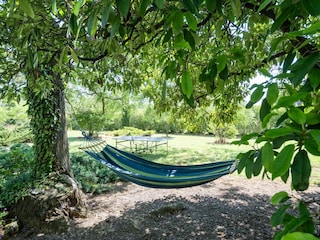 Ferienhaus Puisserguier Außenaufnahme 7