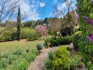 Ferienhaus Puisserguier Außenaufnahme 5