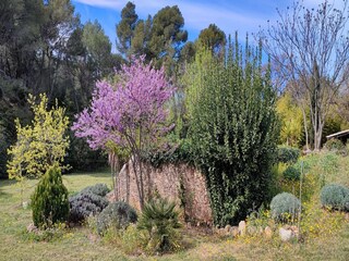 Casa de vacaciones Puisserguier Grabación al aire libre 6