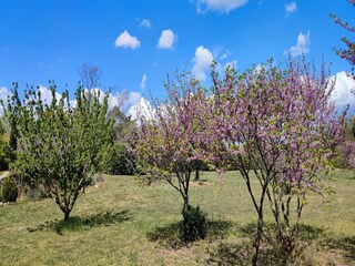 Maison de vacances Puisserguier Enregistrement extérieur 13