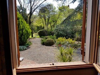 Ferienhaus Puisserguier Außenaufnahme 12