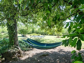 Ferienhaus Puisserguier Außenaufnahme 12