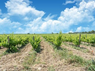 Maison de vacances Puisserguier Environnement 34