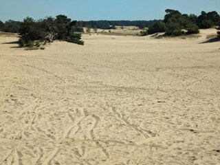 Vakantiehuis Voorthuizen Omgeving 31