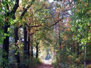 Casa per le vacanze Voorthuizen Ambiente 29