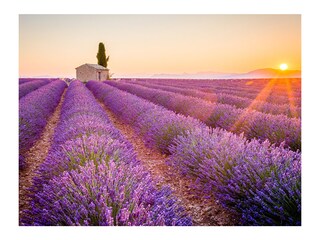 Casa per le vacanze Carpentras Ambiente 24