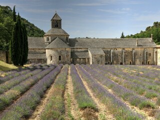 Casa per le vacanze Carpentras Ambiente 23