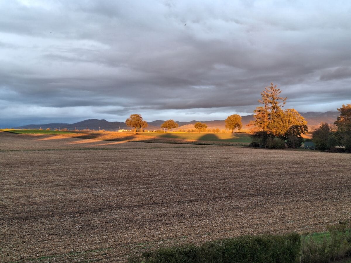 Blick Richtung Schwarzwald